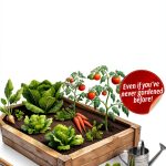 Urban Gardening Kindle eBook Guide by GreenThumb Press 2025 Edition-0