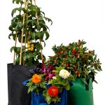 Urban Gardening Kindle Book by Cool Springs Press Complete Guide for-0
