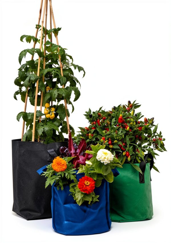 Urban Gardening Kindle Book by Cool Springs Press Complete Guide for-0