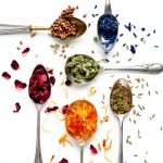 Hamlyn Brunch & Tea Cooking UK ed. Kindle Edition-0