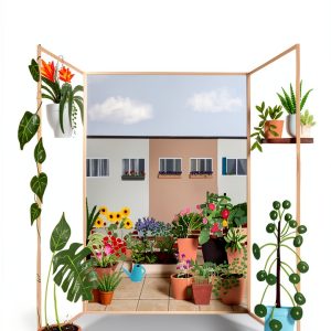 National Trust Baking eBook - Urban Gardening Guide by National Trust-0