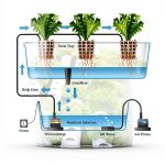 Urban Farming Blueprint: A Comprehensive Guide for Water Gardens &-0