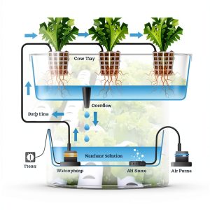 Urban Farming Blueprint: A Comprehensive Guide for Water Gardens &-0