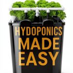 Hydroponic Gardening for Beginners: A Step-by-Step Guide-0