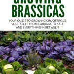 Urban Gardening Ideas for Beginners: Inspiring Kindle Book-0