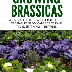 Urban Gardening Ideas for Beginners: Inspiring Kindle Book-0