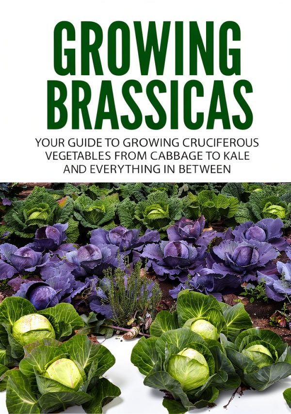 Urban Gardening Ideas for Beginners: Inspiring Kindle Book-0