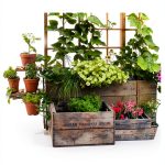 Urban Gardening eBook Cool Springs Press Hydroponic Guide 224 Pages-0