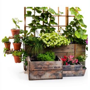 Urban Gardening eBook Cool Springs Press Hydroponic Guide 224 Pages-0